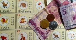 jogo do bicho aposta